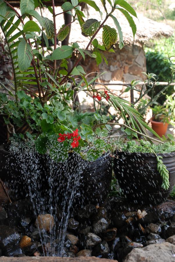 Osoita Lodge Nairobi Kültér fotó