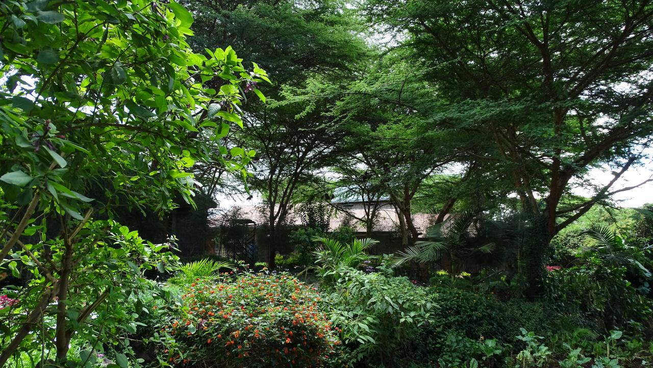 Osoita Lodge Nairobi Kültér fotó